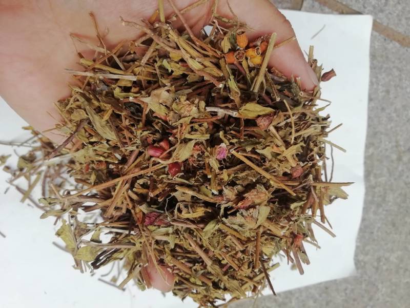 中药材天香炉