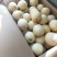 精品蜜梨口感好质量优【赵县专业合作社】甜蜜上市中