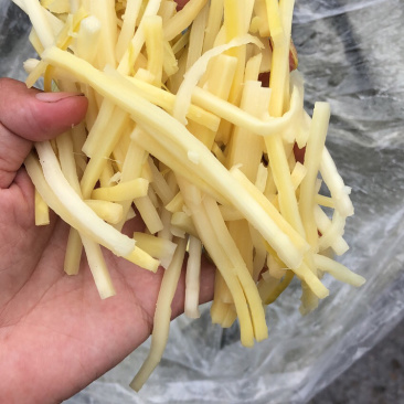 毛竹笋无限量供应可深加工酸笋黄笋丝螺丝粉专用酸笋