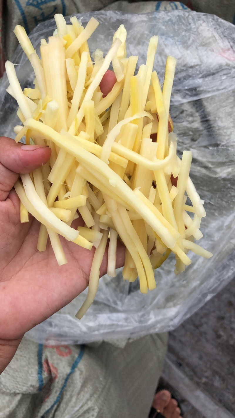 毛竹笋无限量供应可深加工酸笋黄笋丝螺丝粉专用酸笋