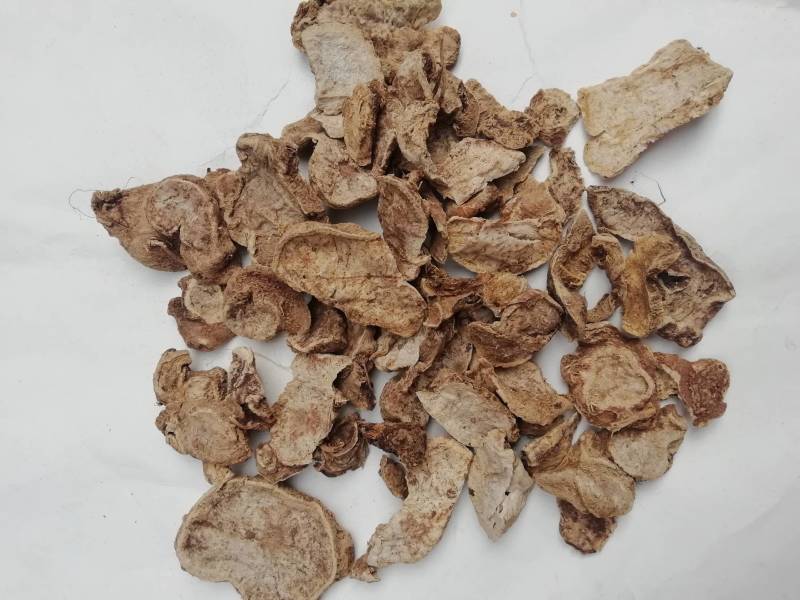 中药材土三七菊三七天青地红新货土三七