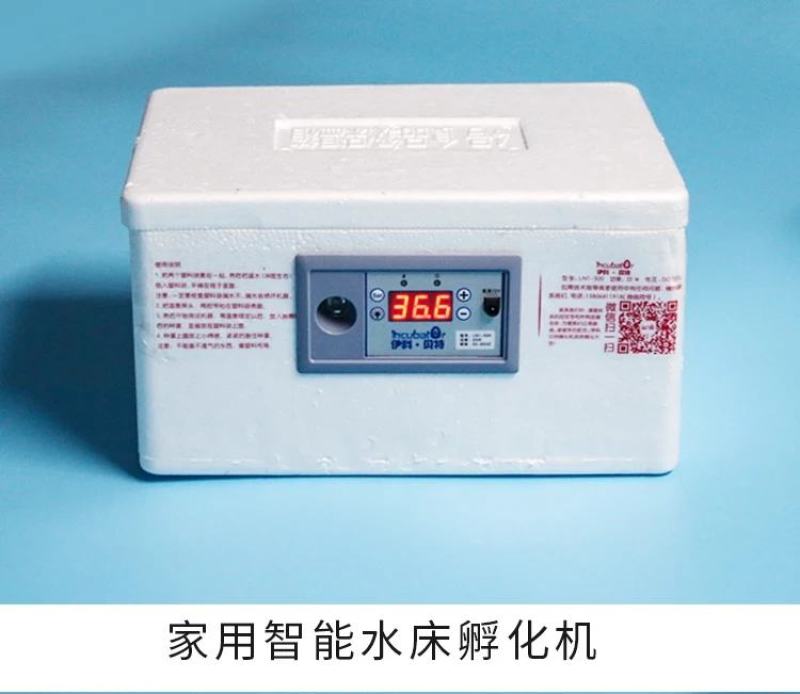 瑞泰家用水床孵化器微型孵化箱小鸡孵化机厂家包邮！