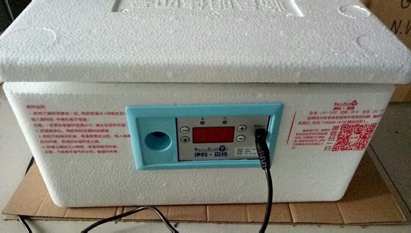 瑞泰家用水床孵化器微型孵化箱小鸡孵化机厂家包邮！
