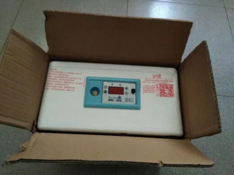 瑞泰家用水床孵化器微型孵化箱小鸡孵化机厂家包邮！