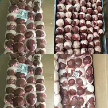 包油羊腰:烧烤用，价格合理厂家直销.一手货源，