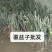 改良大果覆盆子苗木批发苗圃基地直销批发优质苗木