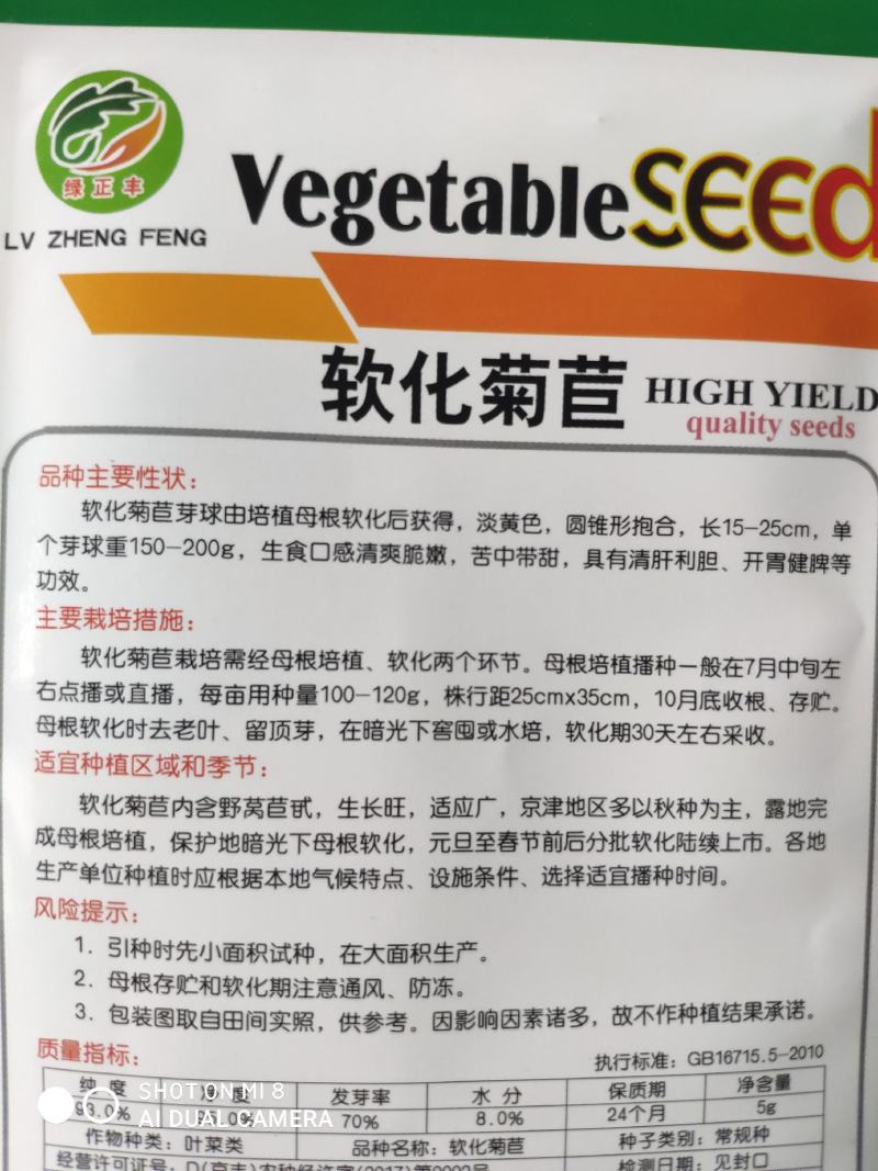 软化菊苣种子种籽基地金玉兰菜种子黄芽球种苗