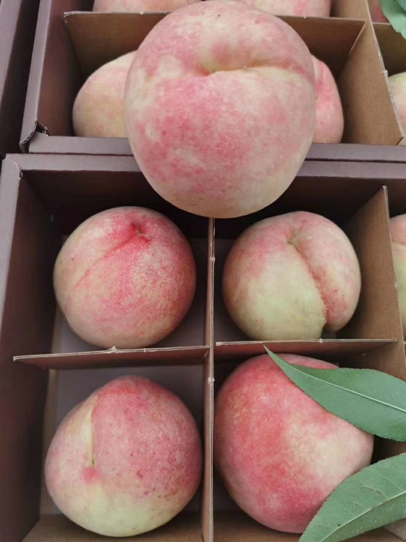 水蜜桃