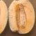 晓蜜25精品章丘产区