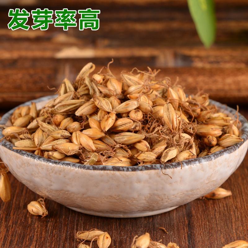 麦芽河北无硫熏正品生/炒/焦麦芽质量保障！一公斤起发货