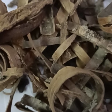 榆白皮，榆树皮，批发加零售