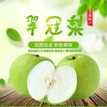 四川苍溪翠冠梨皮薄多汁入口化渣基地批发电商合作物美价廉