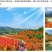 千红彩杨供应，冠彩叶杨供应，红叶杨供应，彩叶杨供应、批发