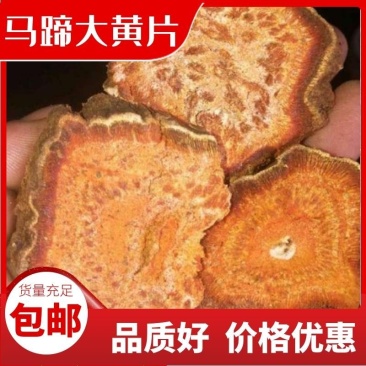 甘肃马蹄大黄，产地直供，大量现货，过药检，全国包邮。