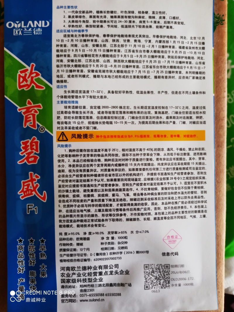 欧兰德欧育碧盛牛角椒早熟大果抗性好