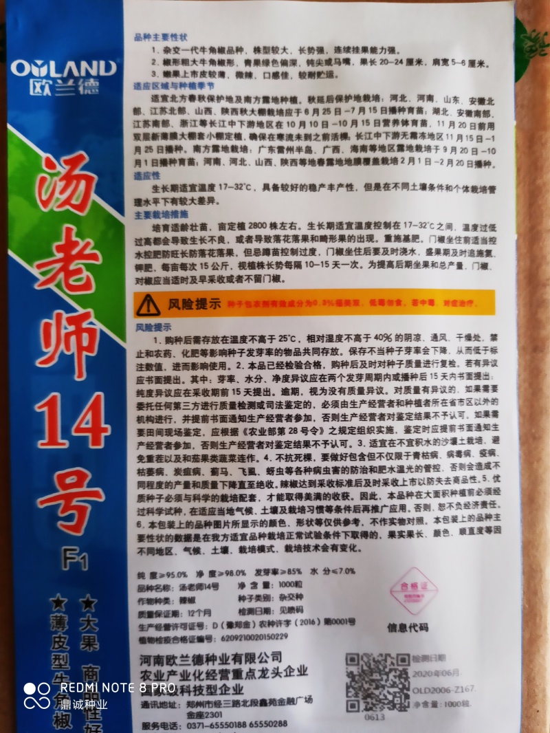 欧兰德汤老师14号辣椒薄皮牛角椒大果