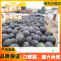 【热销】河南黑无籽西瓜个头大口感甜产地直发量大从优