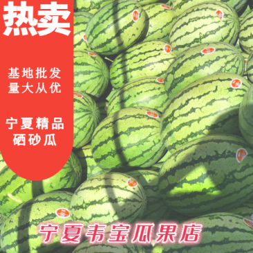宁夏香山金城五号硒砂瓜产地直发甜度高常年代发全国