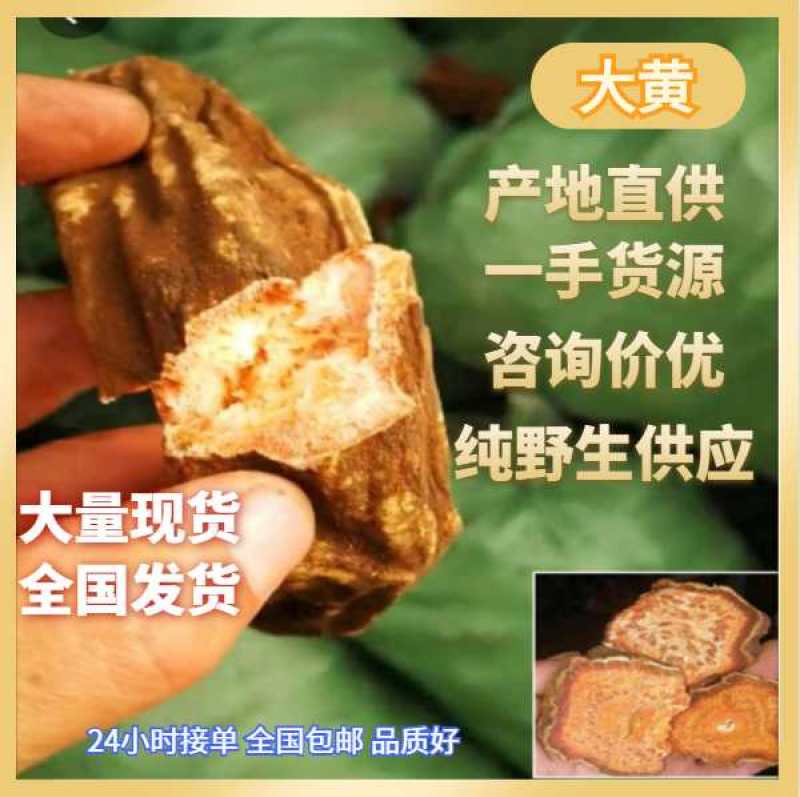 大黄，甘肃礼县马蹄大黄，高含量，切片，整条包邮，过药检。