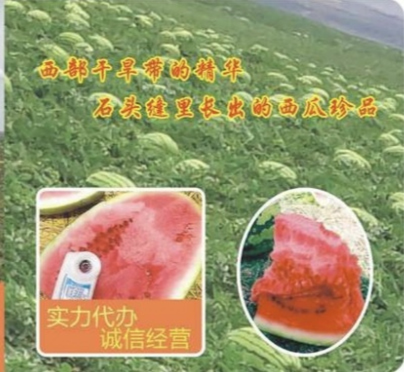 宁夏中卫硒砂瓜，品质有保证价格合理对接全国欢迎来电