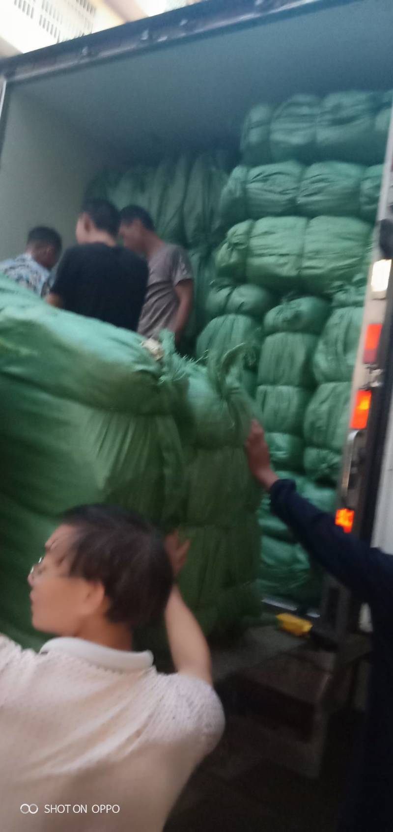 江西新鲜干荷叶一级选货，整张无破损，2022年新荷叶