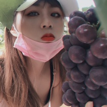 🔥🍇无籽巨峰一手货源串子紧抓夏日炎炎它很甜