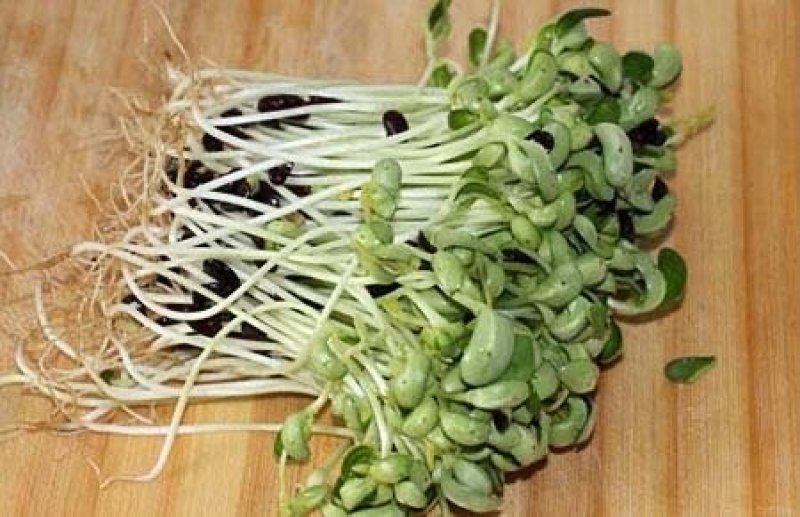 豆芽菜