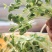豆芽菜
