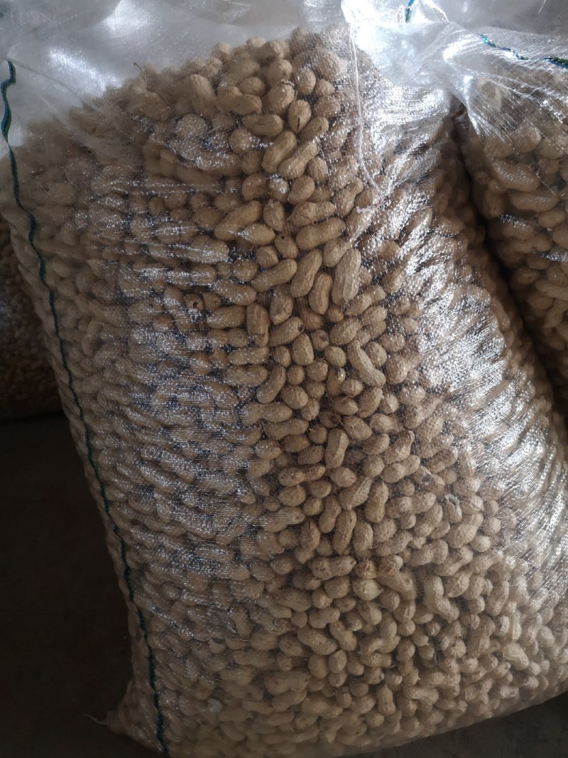 大量出售花育精选果，手选果，食品用果，量大从优，来电优惠