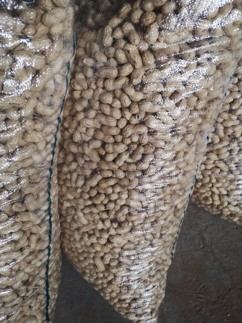 大量出售花育精选果，手选果，食品用果，量大从优，来电优惠