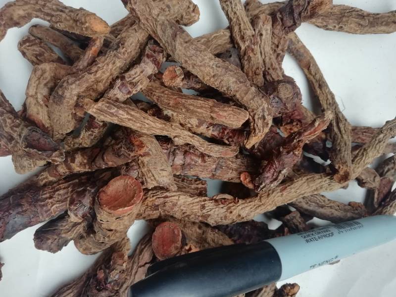 血三七零售加批发中药材盘龙七根