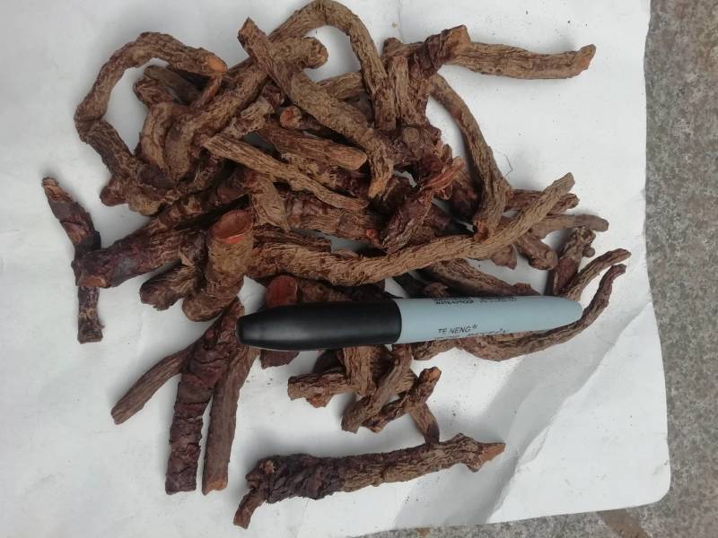 血三七零售加批发中药材盘龙七根