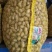 【鲜花生】精品白沙系列花生产地现挖可视频看货