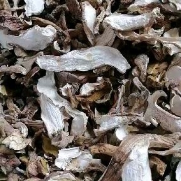 美味牛肝菌干片产新中，欢迎各位大佬前来采购