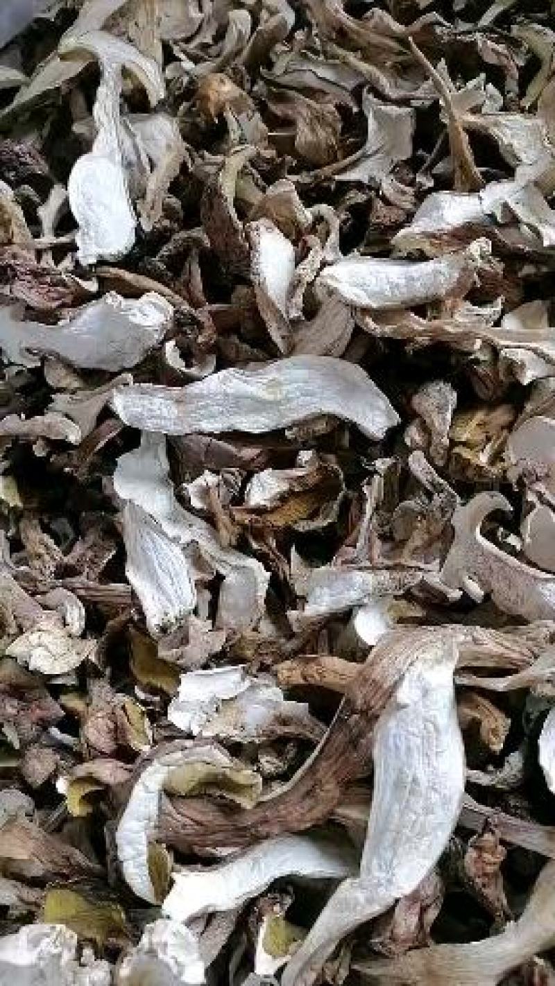 美味牛肝菌干片产新中，欢迎各位大佬前来采购