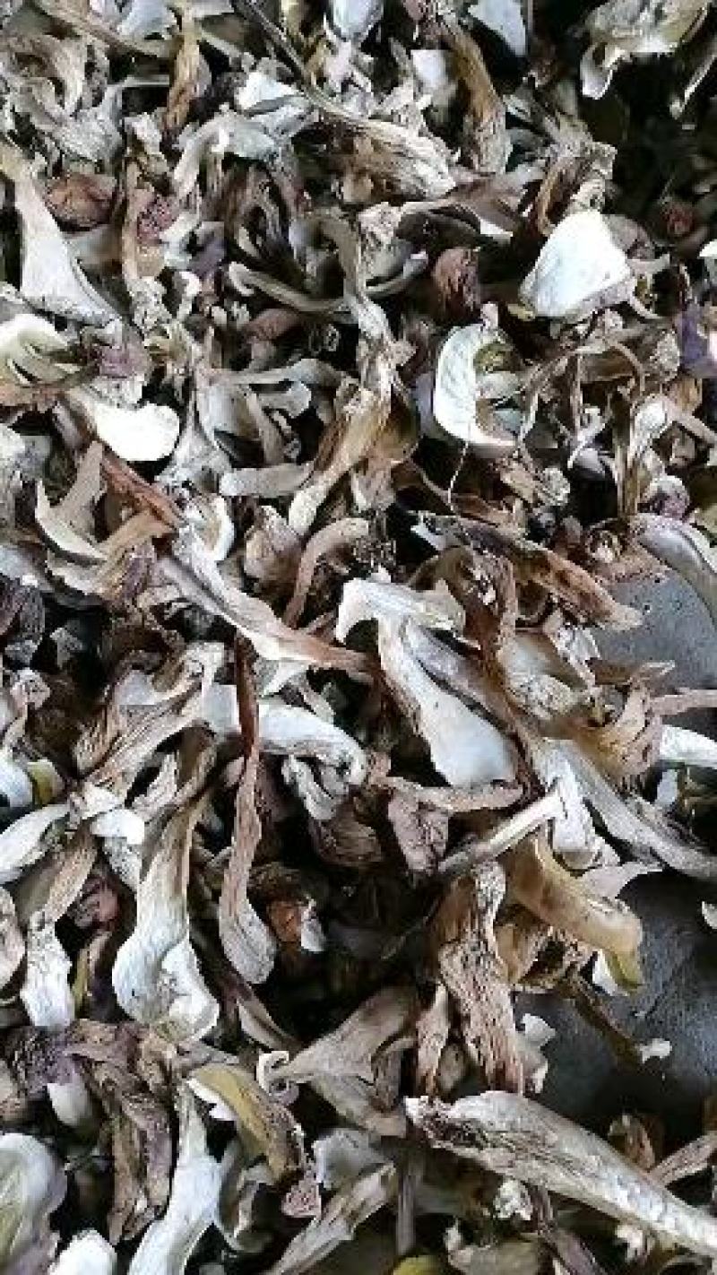 美味牛肝菌干片产新中，欢迎各位大佬前来采购