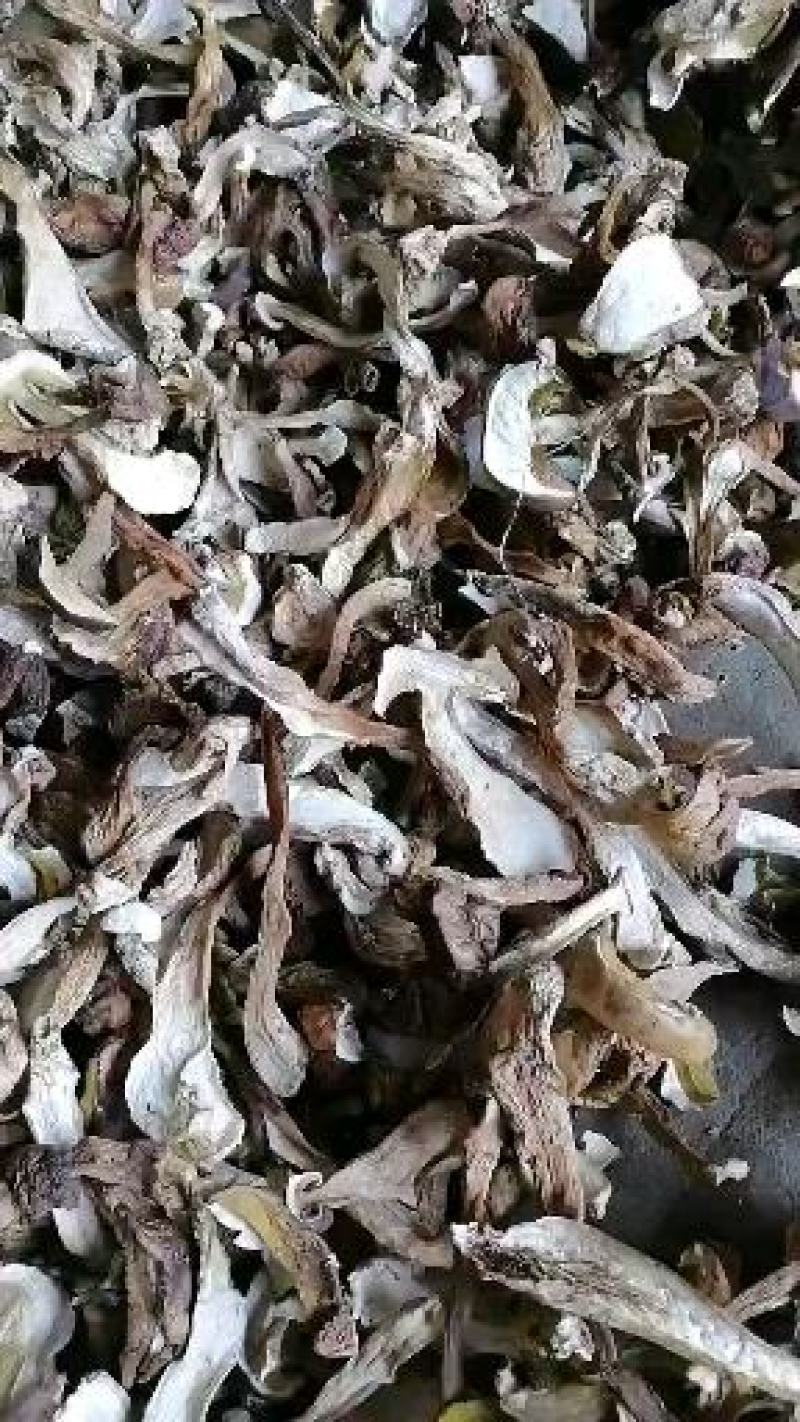 美味牛肝菌干片产新中，欢迎各位大佬前来采购