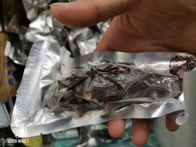 包邮大连即食大海参刺参辽参冷冻江苏海鲜水产