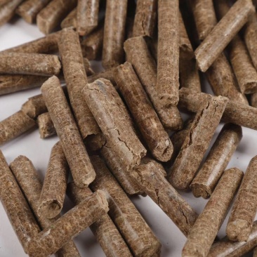 环保型生物质颗粒燃料
