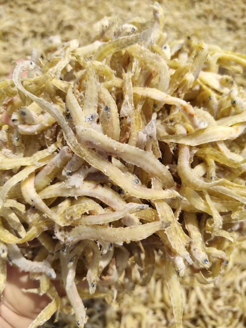 凤尾鱼(大量有货，欢迎选购。)