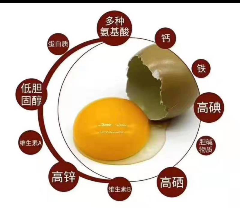 优质新鲜山鸡蛋营养风副建康美味还长寿保证质量破损保陪