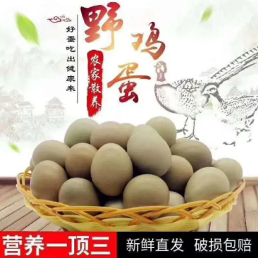 优质新鲜山鸡蛋营养风副建康美味还长寿保证质量破损保陪