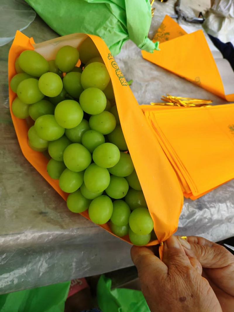 阳光玫瑰葡萄，香印、晴王葡萄，精品青提，货源充足，