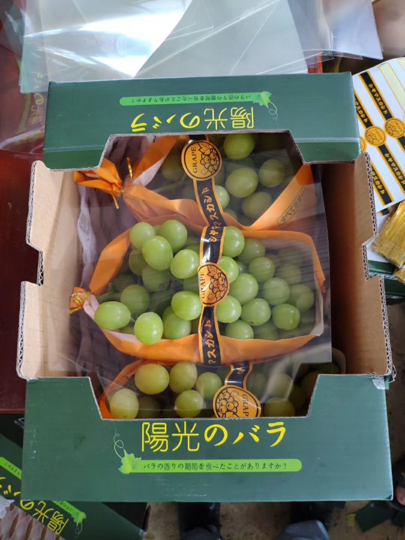 阳光玫瑰葡萄，香印、晴王葡萄，精品青提，货源充足，