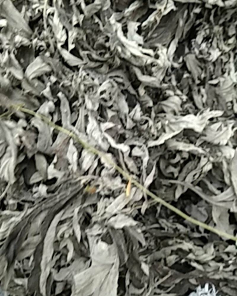 纯野生艾叶，机压机，散装都有。电商直供，需要可电话联系