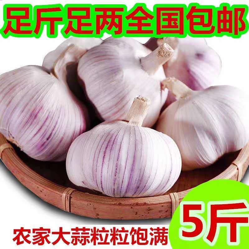【包邮大蒜新大蒜紫皮蒜，2025新蒜干蒜单县金乡产地直供