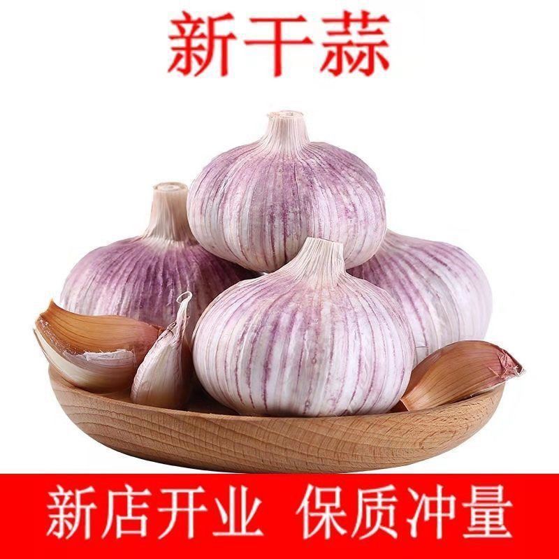 【包邮大蒜新大蒜紫皮蒜，2025新蒜干蒜单县金乡产地直供