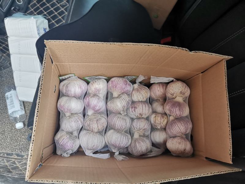 【包邮大蒜新大蒜紫皮蒜，2025新蒜干蒜单县金乡产地直供