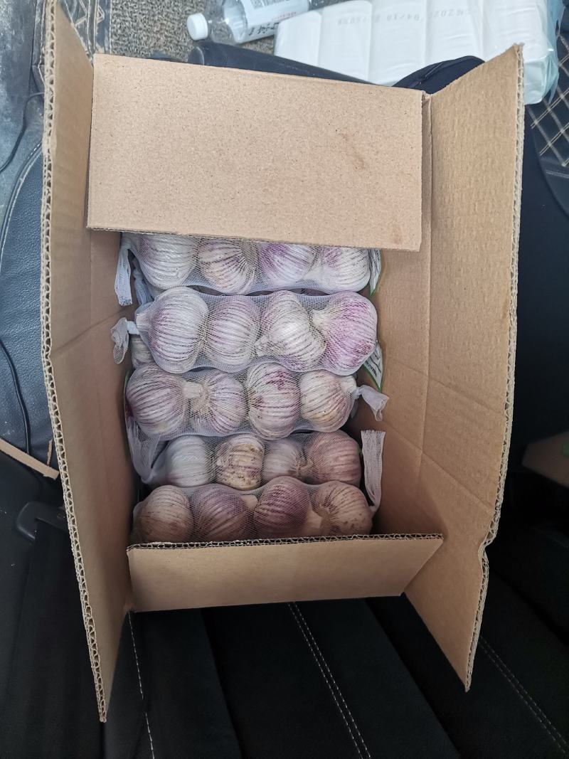 【包邮大蒜新大蒜紫皮蒜，2025新蒜干蒜单县金乡产地直供