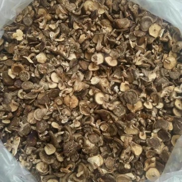 香菇批发价有想要的联系我